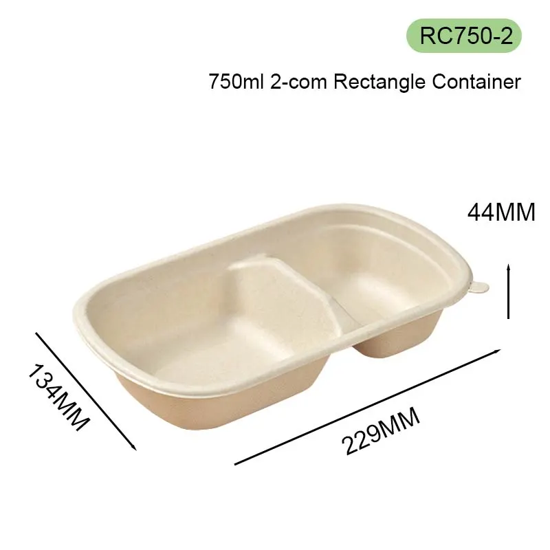 SQ Lunch Container